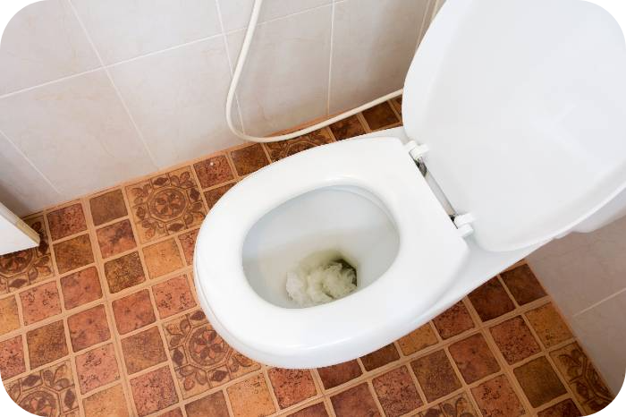 How To Unclog a Slow Draining Toilet